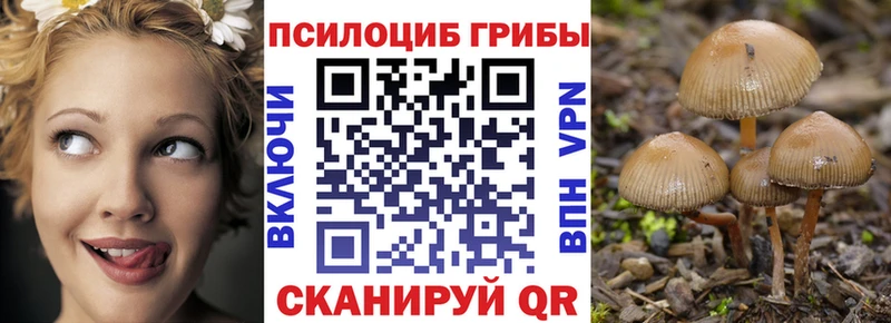 Купить где  Калининец  Галлюциногенные грибы мухоморы 